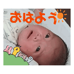 [LINEスタンプ] 動く弥陸(生誕1ヶ月祝)