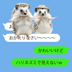 [LINEスタンプ] 【小さめ】ハリネズミがいる吹き出し