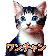 [LINEスタンプ] 2024年Z世代がよく使う言葉×仔猫 03