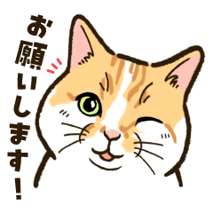 [LINEスタンプ] ねこまみれ（ゆるっと敬語・多め）