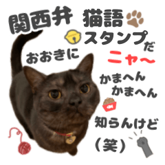 [LINEスタンプ] 黒猫ちゃん関西弁＆猫語、毎日スタンプの画像（メイン）