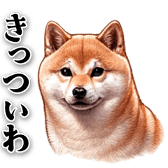 [LINEスタンプ] 関西弁でなんか言ってる柴犬