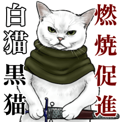 [LINEスタンプ] 意外と使える中二病的煽り系BIG白猫黒猫