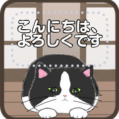 [LINEスタンプ] キャッツセンス メッセ―ジ