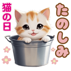 [LINEスタンプ] キュートな鍋ネコ カップ猫 猫の日スタンプの画像（メイン）