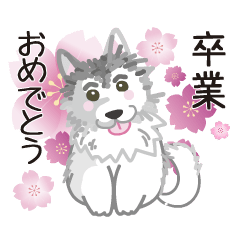 [LINEスタンプ] しっぽを振る犬のスタンプ