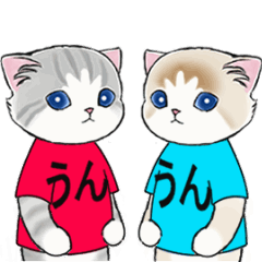 [LINEスタンプ] 動く☆毎日ねこスタンプ