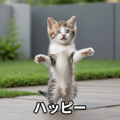 [LINEスタンプ] 面白い猫ミームスタンプ【家事・主婦】