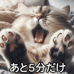 [LINEスタンプ] とにかく眠い猫（文字ありVer）