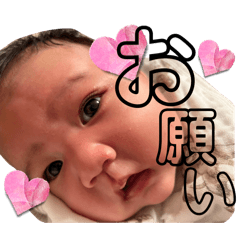 [LINEスタンプ] 0歳BABY♡NALUTAN