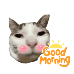 [LINEスタンプ] はるぎんスタンプ1