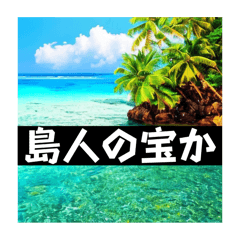 [LINEスタンプ] いつどこで使うか分からないツッコミ集