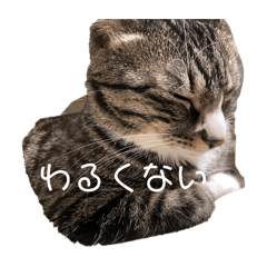 [LINEスタンプ] 凛ちゃんパート2