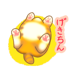 [LINEスタンプ] すこし使いどころに困る猫スタンプ