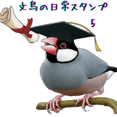 [LINEスタンプ] 文鳥の日常スタンプ 5 by oishiano