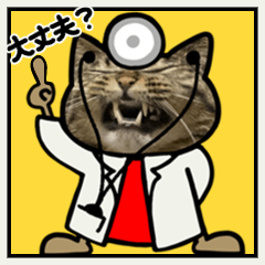 [LINEスタンプ] キジトラ猫ポップアップ(猫ネコねこ)