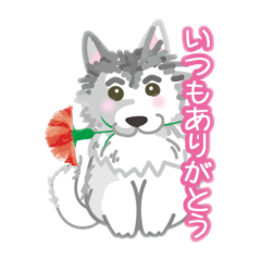 [LINEスタンプ] ぎんちゃんスタンプ11