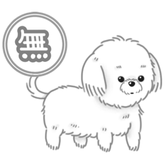 [LINEスタンプ] 犬が考えてそうなことです。(マルチーズ)