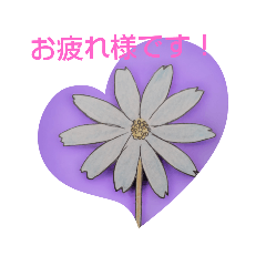 [LINEスタンプ] 花言葉スタンプ 1月〜4月