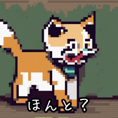 [LINEスタンプ] かわいい猫のスタンプ Tama-Games