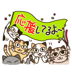 [LINEスタンプ] 挨拶充実❣️毎日使える【トラ猫:猫詰合せ】