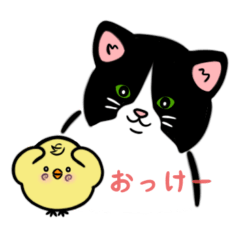 [LINEスタンプ] とわのひよ子2 猫ちゃんと一緒