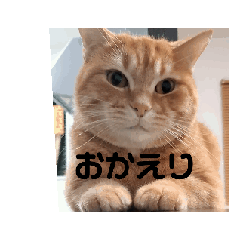 [LINEスタンプ] ぱんすけあいさつ