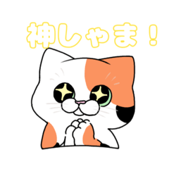 [LINEスタンプ] 模様ほうふ！猫スタンプ²