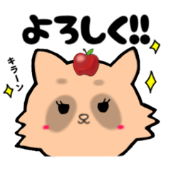 [LINEスタンプ] 推し活たぬき[りんご]／日常で使える