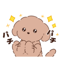 [LINEスタンプ] トイプードル ちゃちゃ2