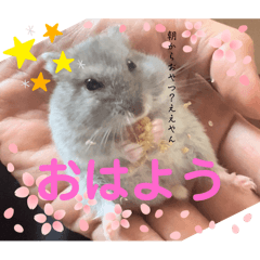 [LINEスタンプ] 暴れ食いしん坊ハムスターやちる君2〜春〜