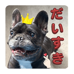 [LINEスタンプ] だん吉スタンプ①