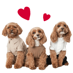[LINEスタンプ] キャバプー3兄弟