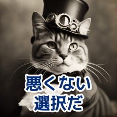 [LINEスタンプ] 猫のスチパン先輩 2