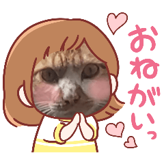 [LINEスタンプ] ウチの猫 ゴンちゃん