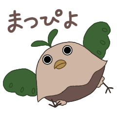 [LINEスタンプ] まつぴよ