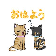 [LINEスタンプ] 双子のニャンズ 茶トラ猫と黒サビ猫