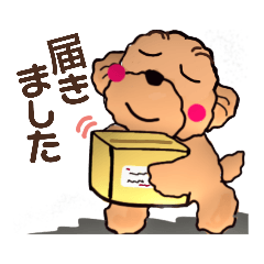 [LINEスタンプ] トイプードル可愛い日常3