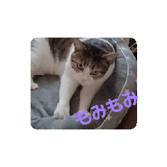 [LINEスタンプ] マロとハッチ