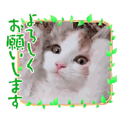 [LINEスタンプ] ひなたです③お役に立てたら光栄にゃ