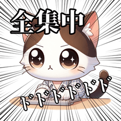 [LINEスタンプ] 毎日もふもふねこ