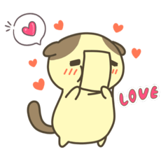 [LINEスタンプ] 表情豊かな猫のこたちゃん