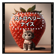 [LINEスタンプ] 猫とフルーツのメッセージスタンプの画像（メイン）