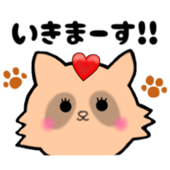 [LINEスタンプ] 推し活たぬき[ハート]／日常で使える