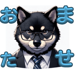 [LINEスタンプ] 柴犬3色ブラザーズ