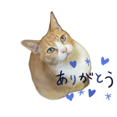 [LINEスタンプ] めにょ