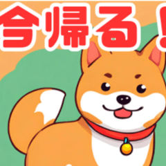 [LINEスタンプ] 遊び心のあるかわいい柴犬スタンプ