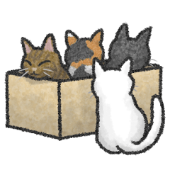 [LINEスタンプ] 猫とダンボールのスタンプ