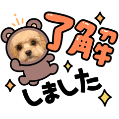 [LINEスタンプ] ペキプーのうにちゃん