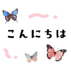 [LINEスタンプ] 蝶♡挨拶